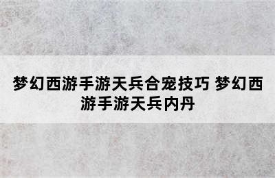 梦幻西游手游天兵合宠技巧 梦幻西游手游天兵内丹